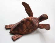 Schildpad 16 cm7